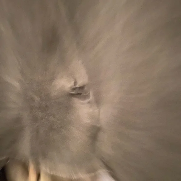 Affliction T-Shirt Black Eagle Wings Short Sleeve Motor Club 1973 2XL - Picture 4 of 5